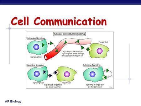 AP Biology Cell Communication. AP Biology Communication Methods  Cell-to-cell contact  Local signaling  Long distance signaling.