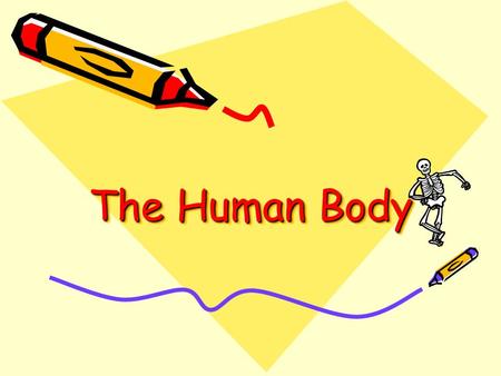 The Human Body. Parts of the body. This is our body.