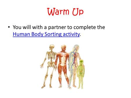 Warm Up You will with a partner to complete the Human Body Sorting activity. Human Body Sorting activity.