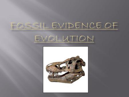  The Fossil Record – made up of all the fossils ever discovered on Earth  provides evidence that species have changed over time  Fossil – the remains.