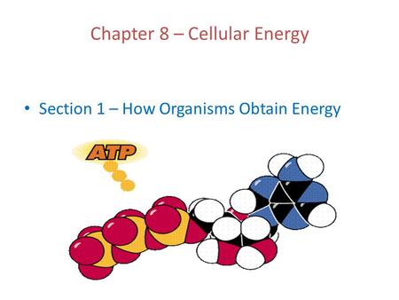 Chapter 8 – Cellular Energy Section 1 – How Organisms Obtain Energy.