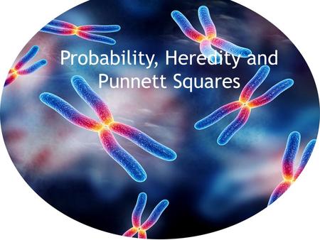 Probability, Heredity and Punnett Squares. Coin Toss I call “Heads” What are my chances that I win?