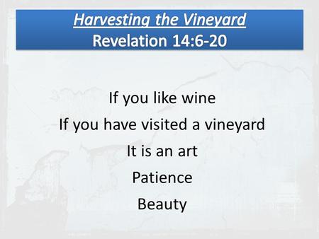 If you like wine If you have visited a vineyard It is an art Patience Beauty.