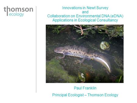 Innovations in Newt Survey and Collaboration on Environmental DNA (eDNA) Applications in Ecological Consultancy Paul Franklin Principal Ecologist – Thomson.