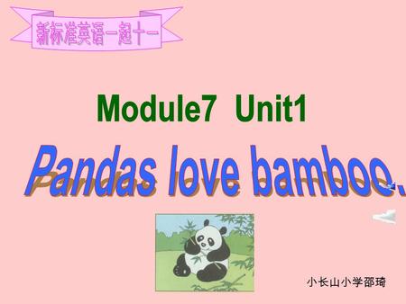 小长山小学邵琦 What animals are they talking about? 1)Pandas love _______. A. B. 2)They eat for ______ hours a day. A. six B. twelve.