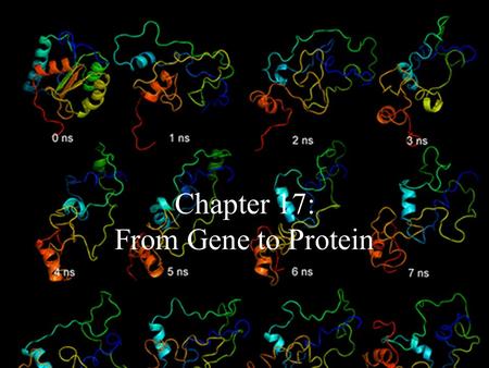 Chapter 17: From Gene to Protein. Figure 17-01 LE 17-2 Class I Mutants (mutation In gene A) Wild type Class II Mutants (mutation In gene B) Class III.