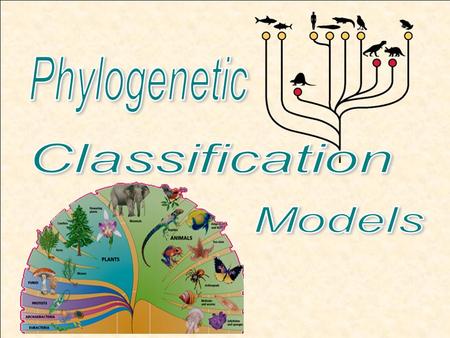 Phylogenetic Classification Models.
