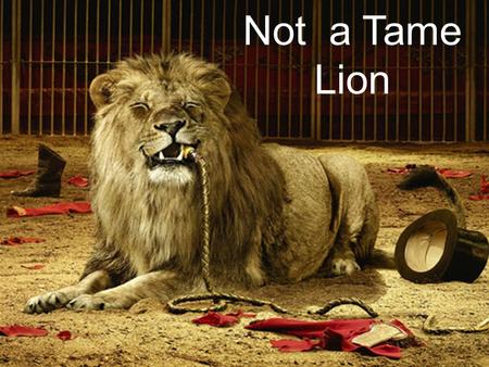 Not a Tame Lion. Hebrew 4:16 Let us then with confidence draw near to the throne of grace, that we may receive mercy and find grace to help in time of.