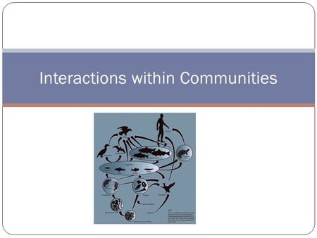 Interactions within Communities. Populations of different species interact in a community Some organisms rely on other organisms within the community.