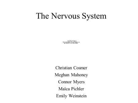 The Nervous System Christian Cosmer Meghan Mahoney Connor Myers Maïca Pichler Emily Weinstein.