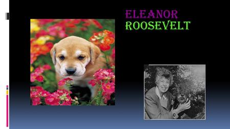 Eleanor Roosevelt. In 1884 Eleanor Roosevelt was born.