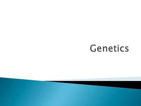  Genetics is the study of how traits are passed from parents to offspring.  Heredity is the actual passing of traits from parents to offspring.