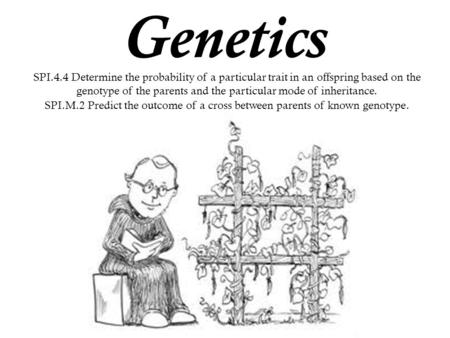 Genetics SPI.4.4 Determine the probability of a particular trait in an offspring based on the genotype of the parents and the particular mode of inheritance.
