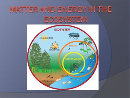 Roles of Living Things  All organisms need energy to live.  In ecosystem, energy moves in ONE direction: Sun Organisms  Energy from sun enters ecosystem.