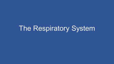 The Respiratory System. What is Respiration? Cellular level Cellular respiration is when the mitochondria breaks down food using oxygen to release energy.