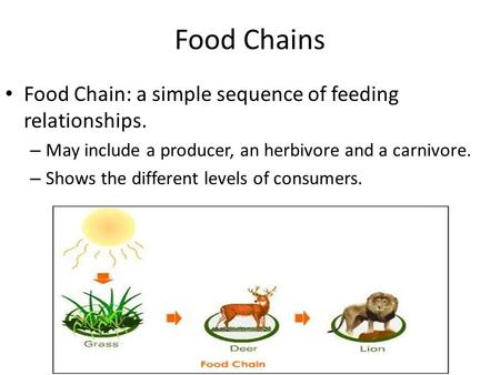 Food Chains Food Chain: a simple sequence of feeding relationships. – May include a producer, an herbivore and a carnivore. – Shows the different levels.