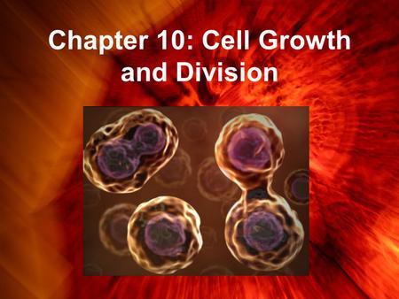 Chapter 10: Cell Growth and Division. Limits to Cell Growth Why do cells need to remain small? Cells divide rather than grow larger for two main reasons.