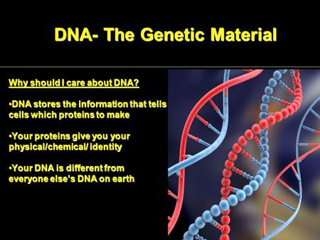 DNA- The Genetic Material Why should I care about DNA? DNA stores the information that tellsDNA stores the information that tells cells which proteins.