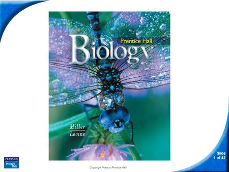 Slide 1 of 41 Copyright Pearson Prentice Hall Biology.