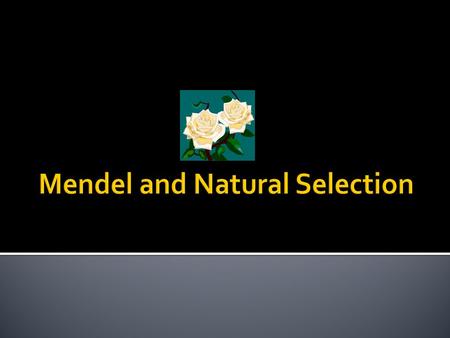 Mendel and Natural Selection