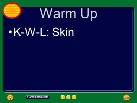 Warm Up K-W-L: Skin. Your Largest Organ Your skin is the largest organ of your body. Much of the information you receive about your environment comes.