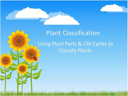 Using Plant Parts & Life Cycles to Classify Plants