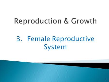 3. Female Reproductive System