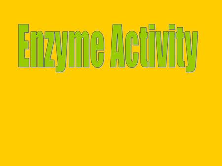 Aim: What factors affect the rate of enzyme activity? I. Factors that affect rate of Enzyme Activity A. The amount of substrate.