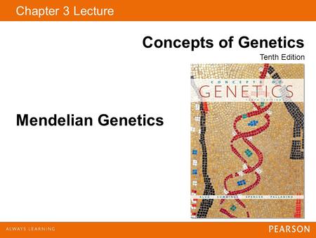 Chapter 3 Lecture Concepts of Genetics Tenth Edition Mendelian Genetics.