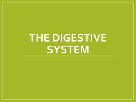 THE DIGESTIVE SYSTEM. Review! What is the level of organization from least to greatest? Define the term organ? What is one example of an organ? Define.