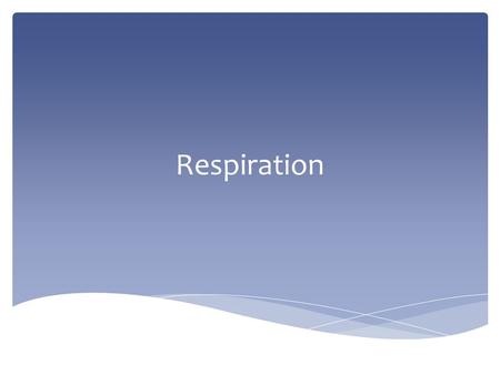 Respiration.  Release of energy from food – DON’T CONFUSE IT WITH GASEOUS EXCHANGE OR BREATHING. Respiration.