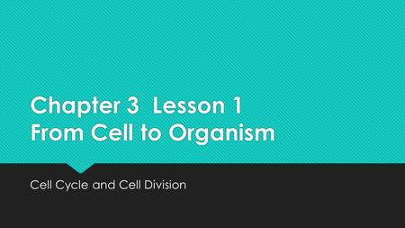 Chapter 3 Lesson 1 From Cell to Organism Cell Cycle and Cell Division.