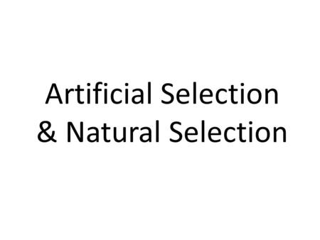 Artificial Selection & Natural Selection. What is Artificial Selection? Artificial selection is the process of breeding plants and animals for particular.