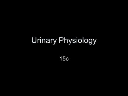 Urinary Physiology 15c. Homeostasis Blood Composition maintained by –Diet –Cellular metabolism –Urine output Function of Kidneys in blood homeostasis.