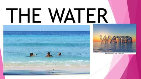 THE WATER. The water is a transparent liquid. WHAT CAN YOU DO WITH WATER? Wash Swim Drink Clean Water plant cook.