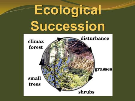 Ecological Succession. more than 1 population in same area at the same time. Remember … a community…