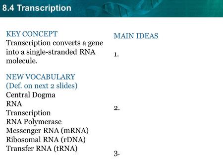 8.4 Transcription KEY CONCEPT Transcription converts a gene into a single-stranded RNA molecule. NEW VOCABULARY (Def. on next 2 slides) Central Dogma RNA.