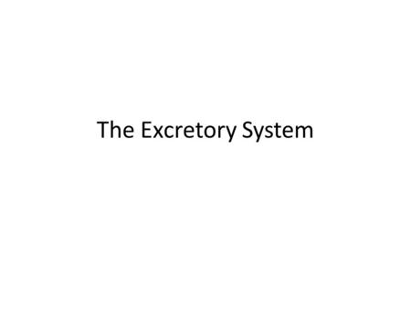 The Excretory System. What is Excretion? Excretion – the process of removing wastes from the body. – Can be in the form of a solid, liquid or gas. Wastes.