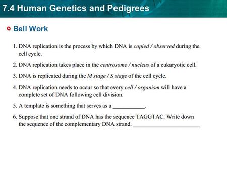 7.4 Human Genetics and Pedigrees Bell Work. 7.4 Human Genetics and Pedigrees Bell Work.