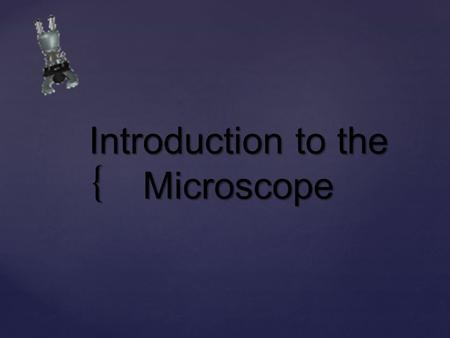 { Introduction to the Microscope. Anthony LeeuwenhoekAnthony Leeuwenhoek The Father of MicrobiologyThe Father of Microbiology History of the Microscope.
