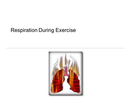 Respiration During Exercise. Terms Ventilation Respiration Pulmonary respiration Cellular respiration.