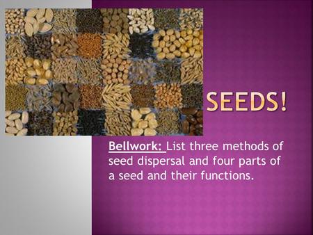 Bellwork: List three methods of seed dispersal and four parts of a seed and their functions.