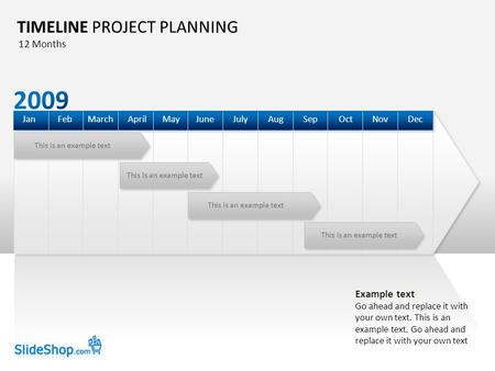 This is an example text TIMELINE PROJECT PLANNING DecOctSepAugJulyJuneAprilMarchFebJanMayNov 12 Months Example text Go ahead and replace it with your own.