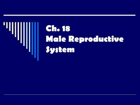Ch. 18 Male Reproductive System. Reproduction  Reproduction results from the union of 2 specialized sex cells- one from the male and one from the female.