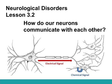 Neurological Disorders Lesson 3.2 How do our neurons communicate with each other? Chemical Signal Electrical Signal.