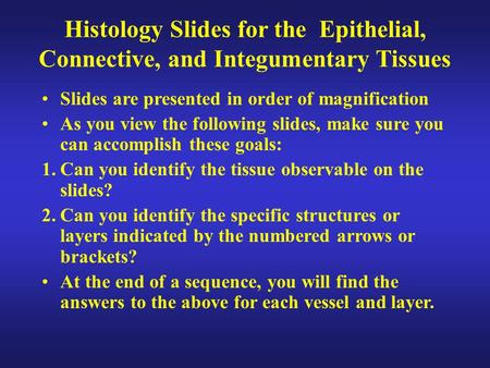 Histology Slides for the Epithelial, Connective, and Integumentary Tissues Slides are presented in order of magnification As you view the following slides,