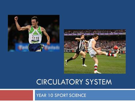 CIRCULATORY SYSTEM YEAR 10 SPORT SCIENCE. CIRCULATORY SYSTEM The circulatory system is made up of:  Heart  Blood  Blood vessels.
