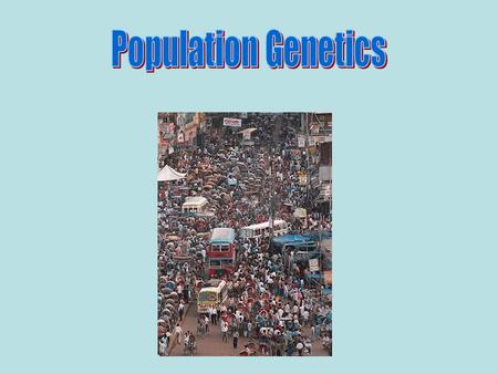 Aim: What are population genetics and how do they affect evolution? I. Population Genetics – Genetics today is concerned with inheritance in large groups.