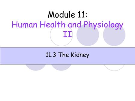 Module 11: Human Health and Physiology II 11.3 The Kidney.