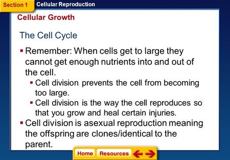 The Cell Cycle  Remember: When cells get to large they cannot get enough nutrients into and out of the cell.  Cell division prevents the cell from becoming.